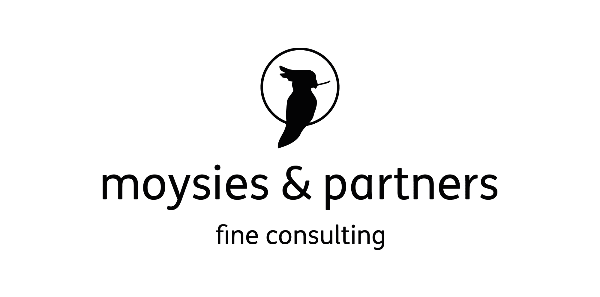 moysies & partners GmbH Logo