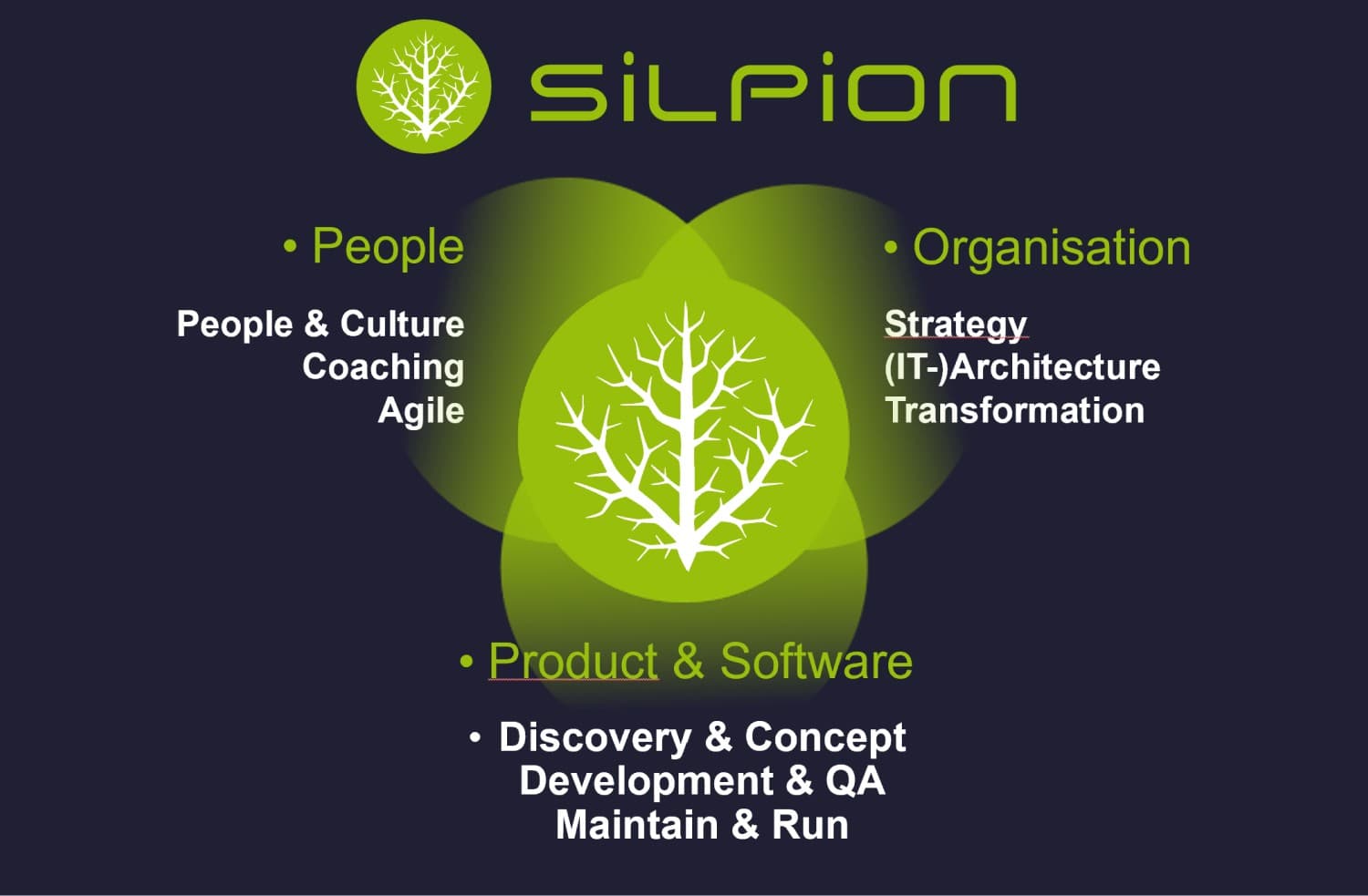 Leistungsspektrum der Silpion GmbH